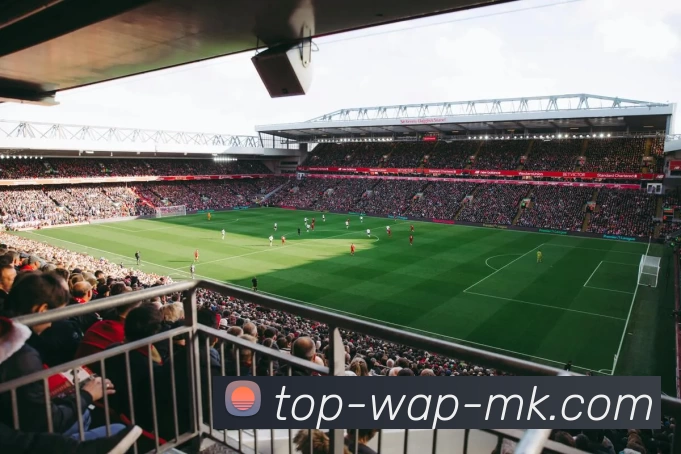 App Interface Preview