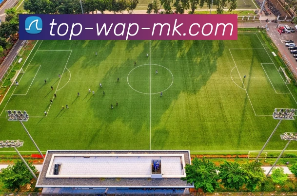 mk体育APP 封面图